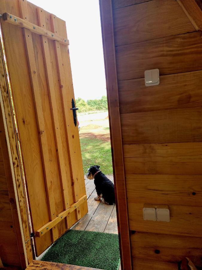 Wolf & Sheep Nature & Adventure Podgorica Eksteriør billede
