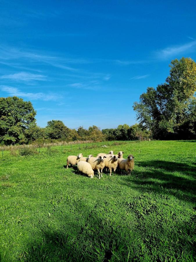 Wolf & Sheep Nature & Adventure Podgorica Eksteriør billede